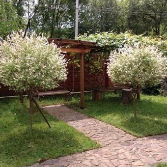 Agroturismo Country House Fuzhn