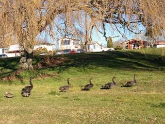 Jack & Di's Lakefront Motel