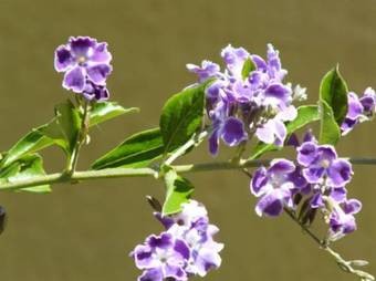 Aparthotel Rainbow Getaway Holiday Apartments