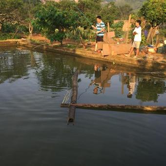 Sinh Th�i B�nh Hi?n