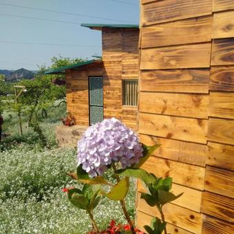 Bed & Breakfast Vhouse Moc Chau