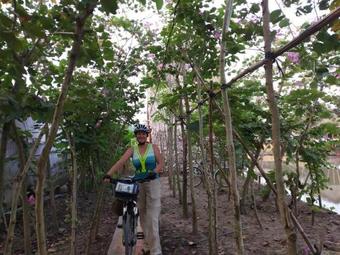 Maison En Bambou Phong-le Vent