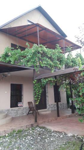 Hostal ???????? ??? "???????"