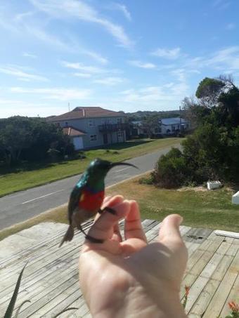 Beached House On Golden Sanddunes