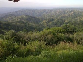 Lodge Phezulu Safari Park