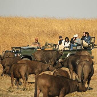 Lodge Nambiti Plains