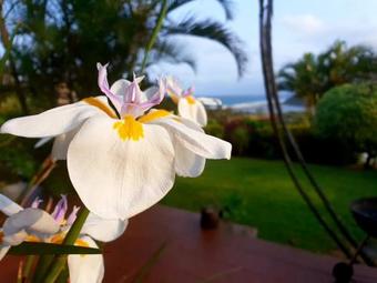 Apartamento Villa La Mercy Guest Suite