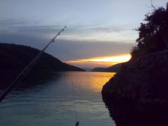 Cycad Rock Fishing Lodge
