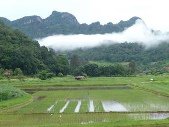 Posada Little Eden Guesthouse