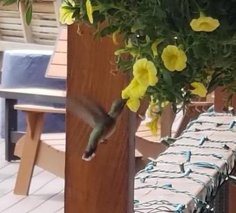 Posada The North Face Lodge