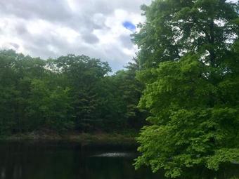 Tentrr - Nature's Therapy