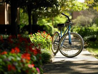 Hotel New Harmony Inn Resort And Conference Center