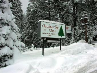 Hotel Christmas Tree Inn