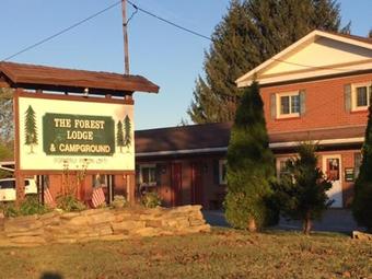 Motel The Forest Lodge And Campground