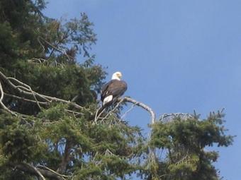 238 - Bells Beach Getaway