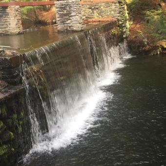 Bed & Breakfast The Cottage In The Pines