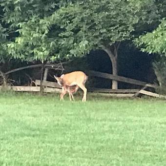 Flowering Fields Bed & Breakfast