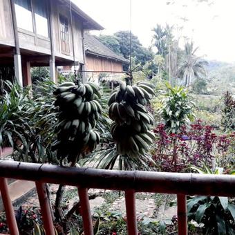 Little Mai Chau Home Stay