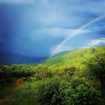 Lodge Graceland Eco Retreat