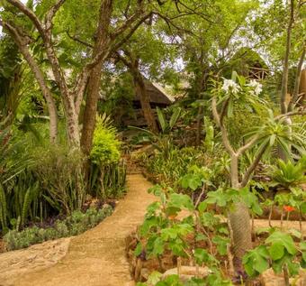 Mafigeni Safari Lodge