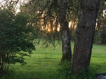 Grimm`s Waldh�uschen