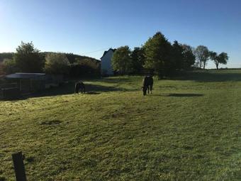 Hostal Pension Zur Scheune