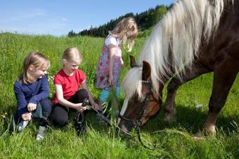 Apartamento Sch�tzlehof