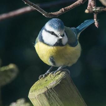 Bed & Breakfast Heure Bleue