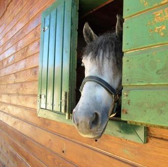 Hostel Baske Ostarije