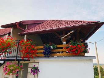 Apartment Jakovljevi?