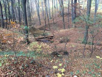 Aranyv�lgy Vend�gh�z