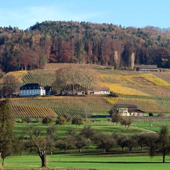Hotel Gasthof Eisenbahn