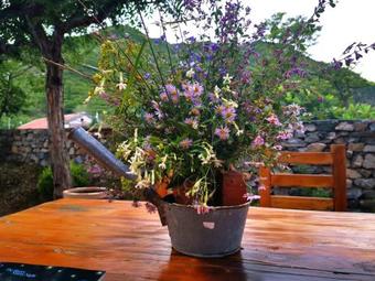 Hostal Beijing Huangtugui Guesthouse