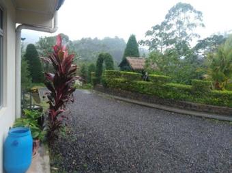 Hotel Cabinas El Bosque Lodge