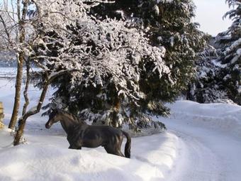 Apartamentos �lbler-nest Auf Hofgut K�che