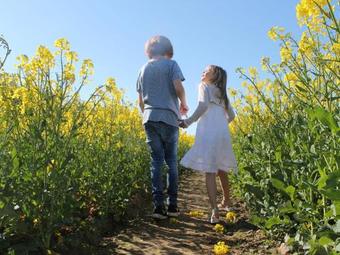 Apartamento Mit Pool Bei Grevesm�hlen