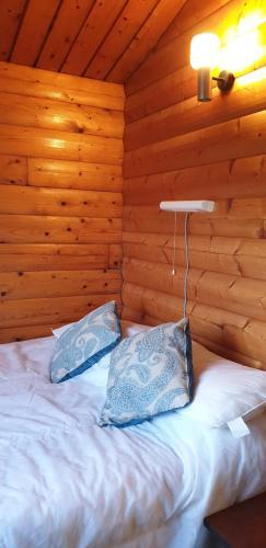 Apartamento Rhinog View Mountain Log Cabin