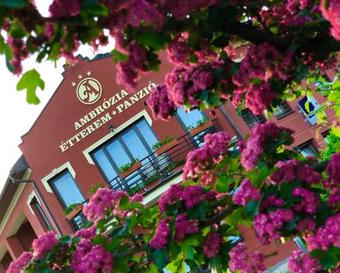 Bed & Breakfast Ambr�zia �tterem �s Panzi�