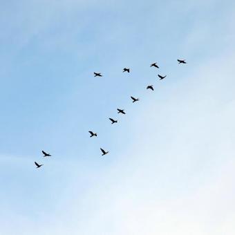 Hostal Gilboa Guest House - Benharim