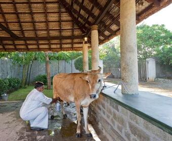 Hotel Sparsa Resort Thiruvanamalai