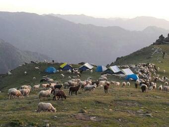 Chanshal Nature Camps