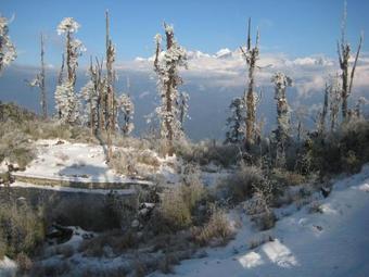 Juniper Residency Hotel