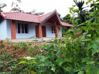 Gowdahalli Forest - Sakleshpur