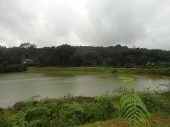 Gowrikere Homestay Coorg