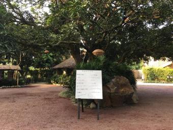 Hotel Corbett Wild Iris Spa And Resort