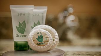 Hotel Best Western Plus Chateau Inn