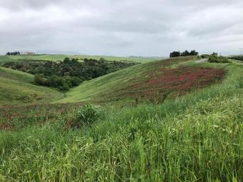 Apartamento Casa D'era Country Holiday House