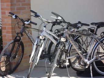 Agroturismo Alloggi Agrituristici Le Vignole