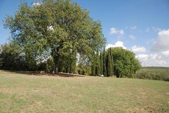 Poderone Villa Sleeps 9 Wifi