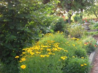 Bed & Breakfast Villa Arabella